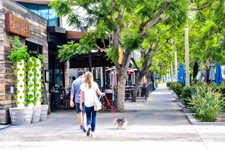 Culver City: The Heart of Screenland
