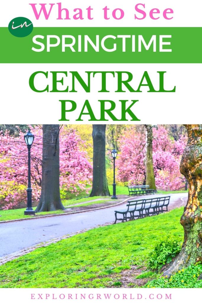 New York City Central Park in Spring