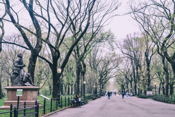 New York Central Park