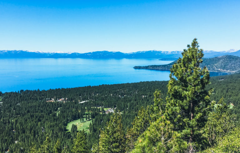 Greeting Summer at Lake Tahoe