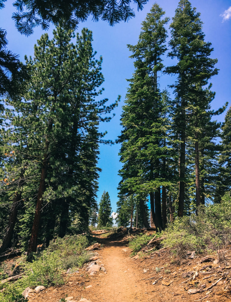 Lake Tahoe Incline Flume Trail