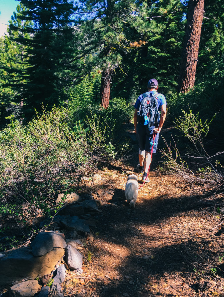 Lake Tahoe Incline Flume Trail