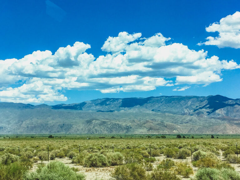 What to pack for a road trip