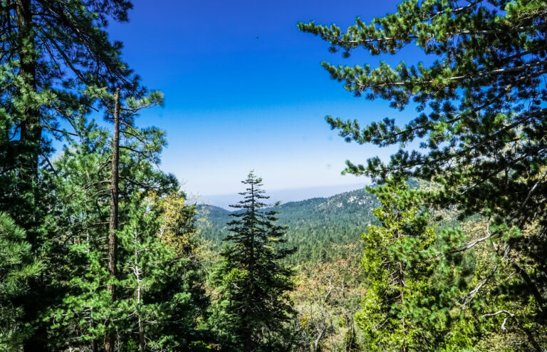 Idyllwild California