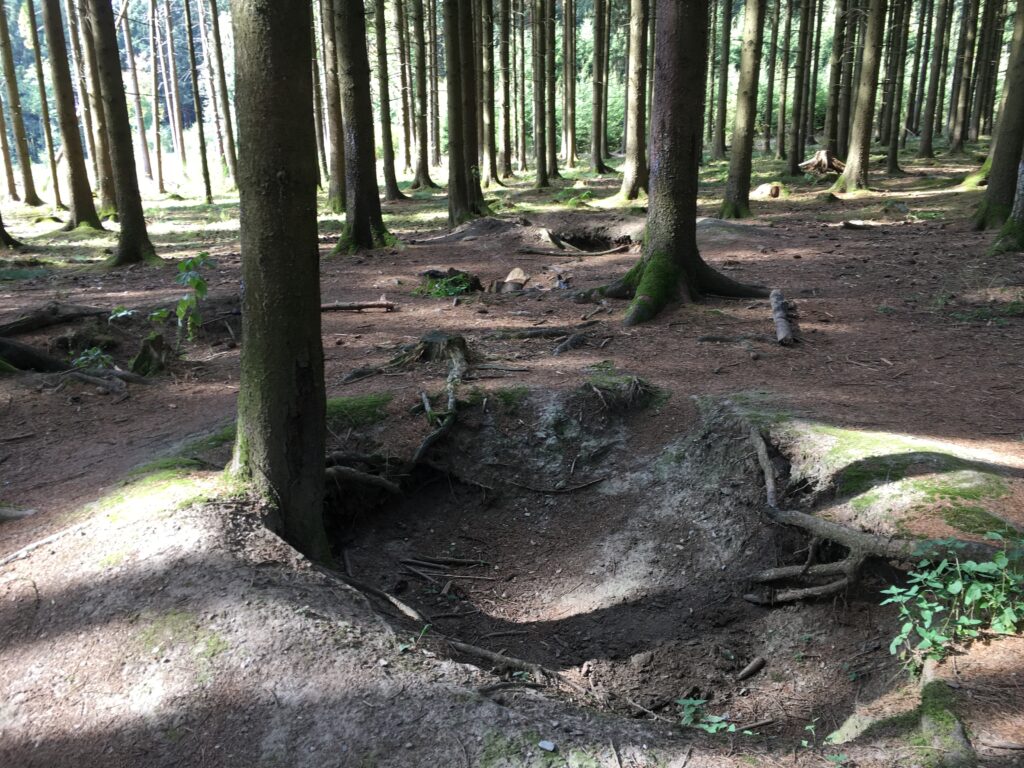 Bastogne Ardennes Forest Battle of the Bulge WWII foxholes