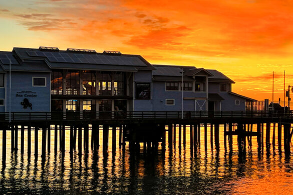 Stearns Wharf Santa Barbara at Sunrise