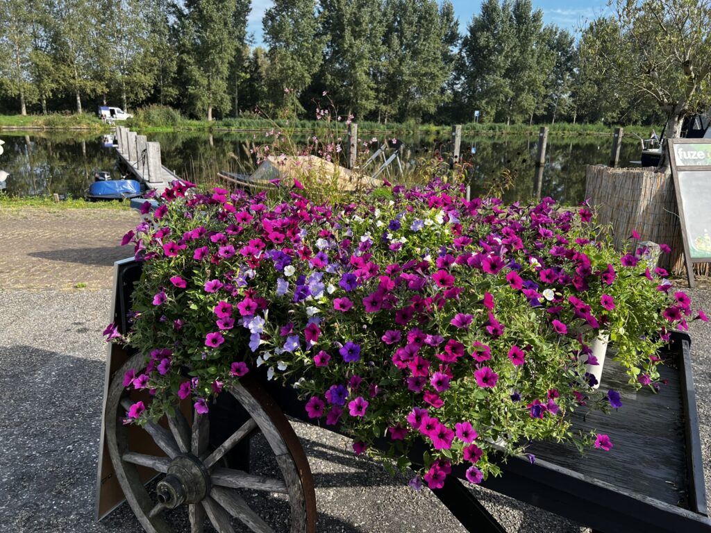 Banks of canal at Zon the Netherlands with flowers on a cart