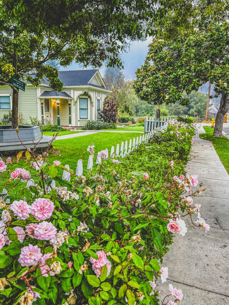 Street in Arroyo Grande with old buildings, picket fences, and pink flowers