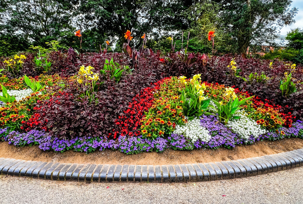 Flowers in the Botanic Gardens at Queens University Belfast